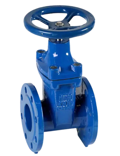 API Wedge Gate valve
