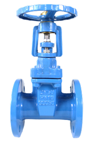 RESILIENT STEM GATE VALVE