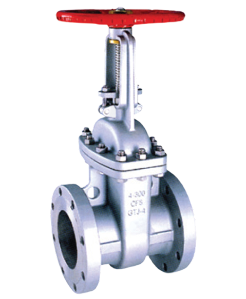 STAINLESS GATE VALVE