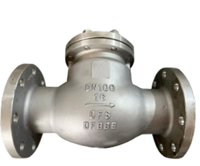 STAINLESS STEEL SWING NON RETURN VALVE